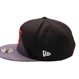 New Era Peak Plaid 24-25 City Edition PNW Mountain 9FIFTY Snapback