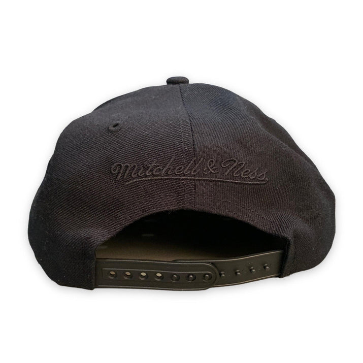 Mitchell & Ness Retro Pride Black Snapback