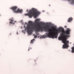 Wild Collective Women's Tie Dye Split Racing Crop Top