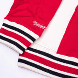 Mitchell & Ness Team Legacy Hoodie - Rip City Clothing