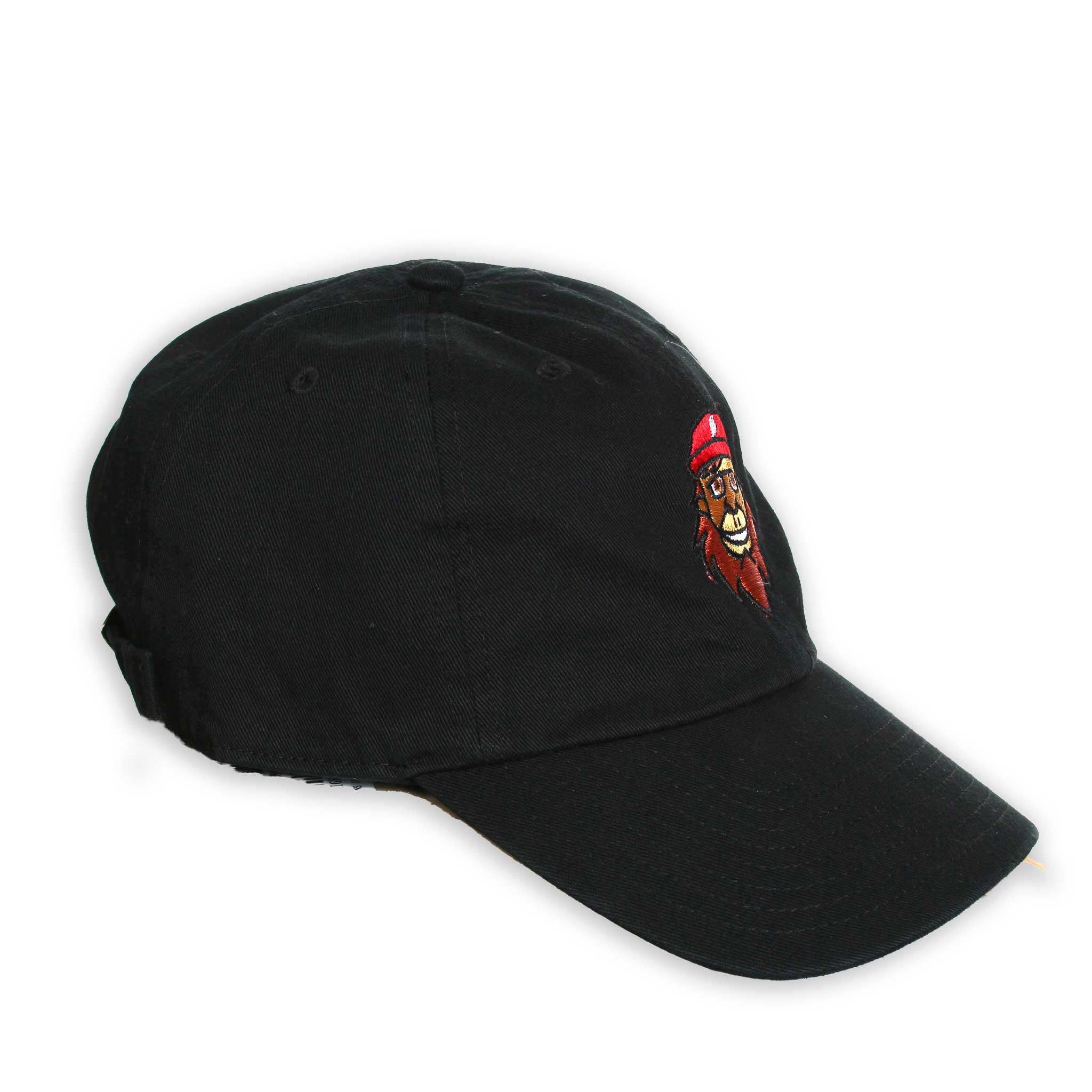 Trail Blazers 47 Brand Douglas Fur Clean Up Cap - Rip City Clothing